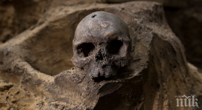 НЕВЕРОЯТНО ОТКРИТИЕ: Намериха праисторически скелет в София