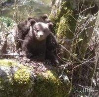 Мечета се разходиха из родопското село Буйново