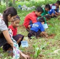 ЗАКОН: Всички филипински ученици трябва да засадят 10 дървета преди да се дипломират 