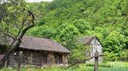 изненада мечка появи белоградчик