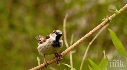 отбелязваме световния ден околната среда