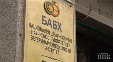 агенцията храните погна родните курорти