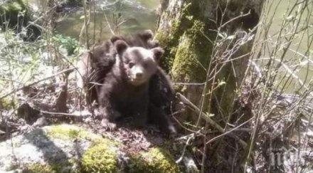 мечета разходиха родопското село буйново
