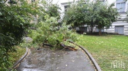 бурята старозагорско спря тока няколко населени места