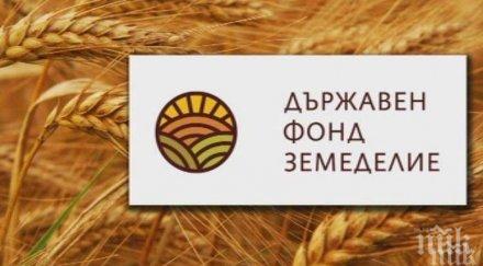 калоян костадинов сяда стола атидже алиева земеделие