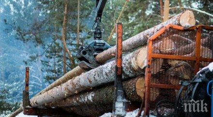 правят нова наредба горите