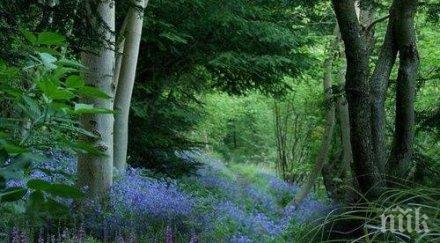 звездите говорят взимайте никакви решения денят опасен