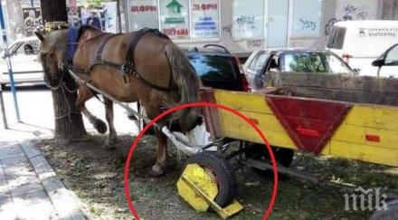 хит пик сложиха скоба каруца кон