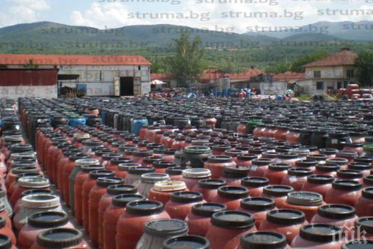 Стартира черешовата кампания в Кюстендилско, изкупните цени са от 60 до 80 стотинки за кило