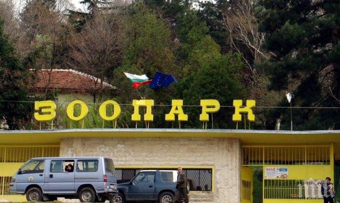 Крадци свиха фуража на зоопарка в Благоевград