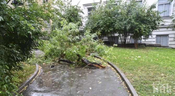 Бурята в Старозагорско спря тока на няколко населени места
