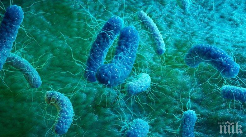 Учени откриха микроби, живеещи при 89 градуса Целзий
