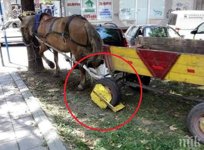 ХИТ В ПИК: Сложиха скоба на каруца с кон