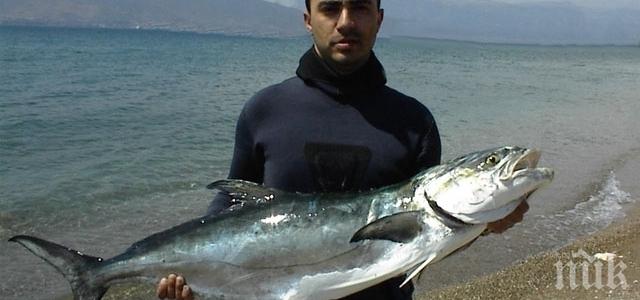 Глоби по 400 евро отнасят наши въдичари в Гърция