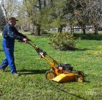 В Пловдив търсят косачи и секачи за 