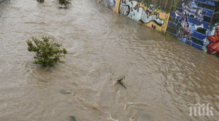 обявена първа степен готовност заради високи води река дунав видин