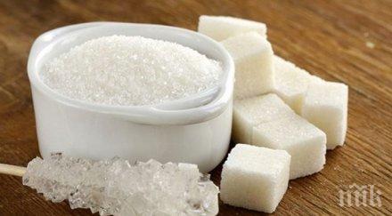 мазнини сол захар полезно