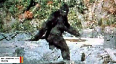 сензация фбр извади досието йети каква истината