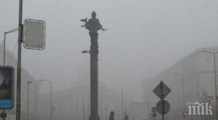 чиста софия 000 семейства заменят традиционното отопление пелети