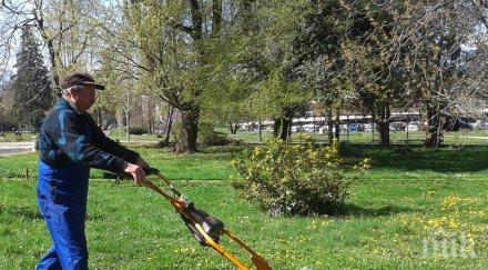 пловдив търсят косачи секачи градини паркове заплатата 650 лева