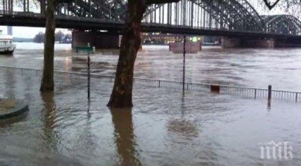 удавена украинска танцьорка изплува рейн