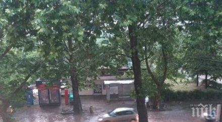 порой удави асеновград общината бедства