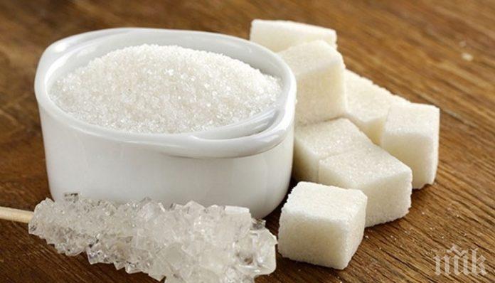 Мазнини, сол и захар - по колко е полезно?