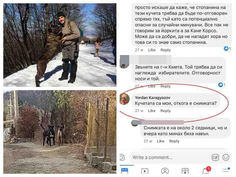 САМО В ПИК: Ето ги кучетата убийци, разкъсали човек във Владо Тричков! Собственикът им се подигравал нагло с наплашени от песовете
