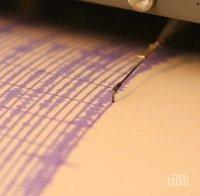 Земетресение с магнитуд 5.1 по Рихтер бе регистрирано в района на Командорските острови
