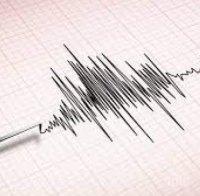Земетресение с магнитуд 4.5 по Рихтер е било регистрирано в района на Курилските острови