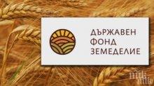 ДФЗ: Къщата за гости на ЕТ „Столичани – Даниела Гергова” в село Гургулят е 100% лошо вземане