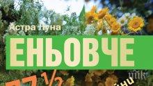 Безценно! Над 100 билкови рецепти в „Еньовче“ разкриват тайната за лечението на всички болести