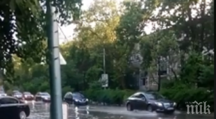 порой изля севлиево