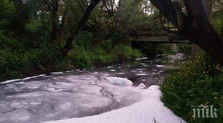 разкритие гъстата пяна струма била шампоан