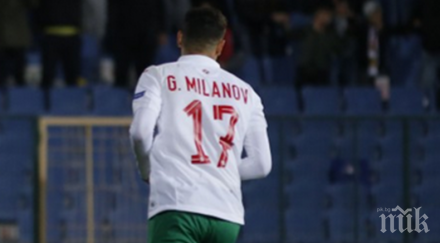 любопитно завръщане лъвовете