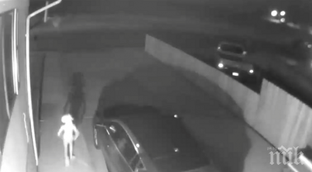 снимаха извънземен хуманоид видео