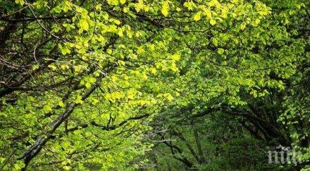 астролог предупреждава луната скорпион бушуват силни страсти желания