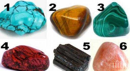 тест кристалът разкрива птица сте