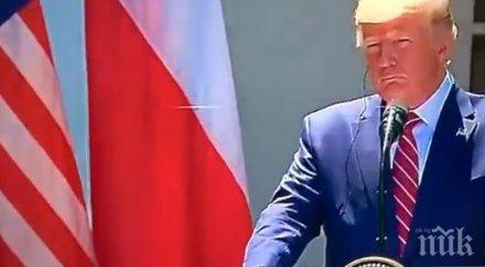 време пресконференцията доналд тръмп анджей дуда белия дом появи паяк
