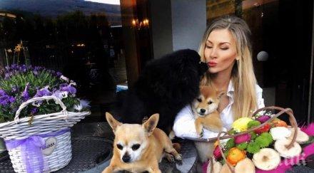 скандална миска заживя малка къщурка покри тамара георгиева снимка