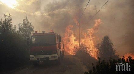 голям горски пожар бушува южна гърция