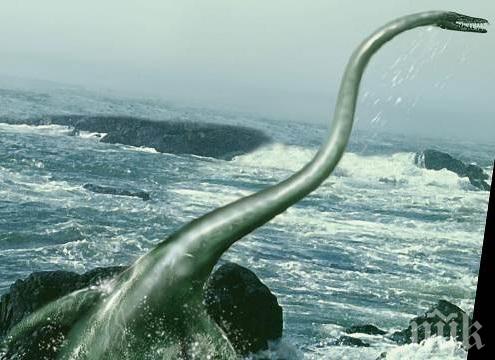 СЕНЗАЦИЯ: Учени откриха останки от най-голямото морско чудовище на планетата 