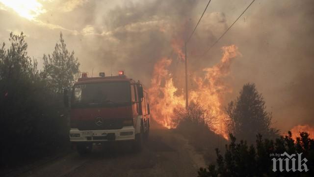 Голям горски пожар бушува в Южна Гърция