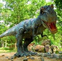 Уникално: Откриха следи от динозаври в Китай 
