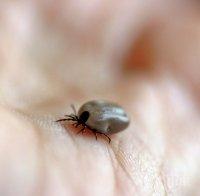 Безплатни прегледи за лаймска болест във ВМА