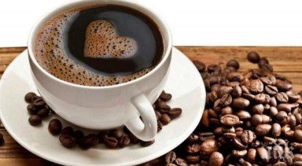 кафето невероятна полза спасява днк