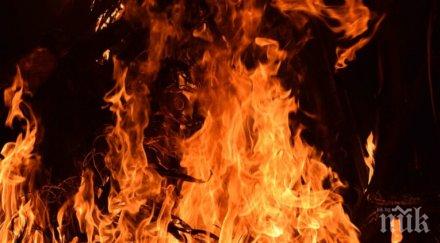 стихия огромен пожар бушува халкидики