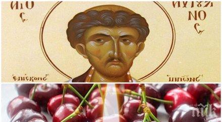 свят ден черешова задушница молим душите починалите правят специални ритуали честваме велик светец черпят уникални имена