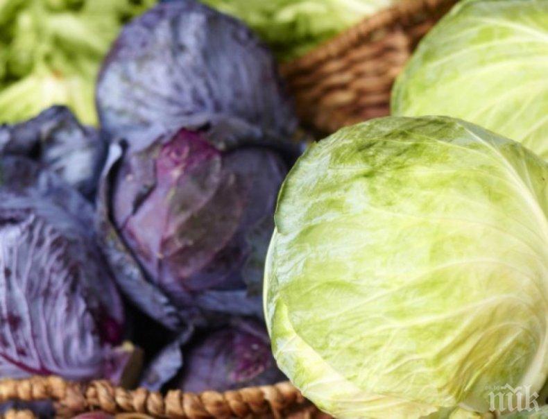 Народна хитрост със зеле спира хъркането