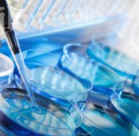 Роди се първото бебе в епруветка, създадено по много по-евтин от досегашните методи